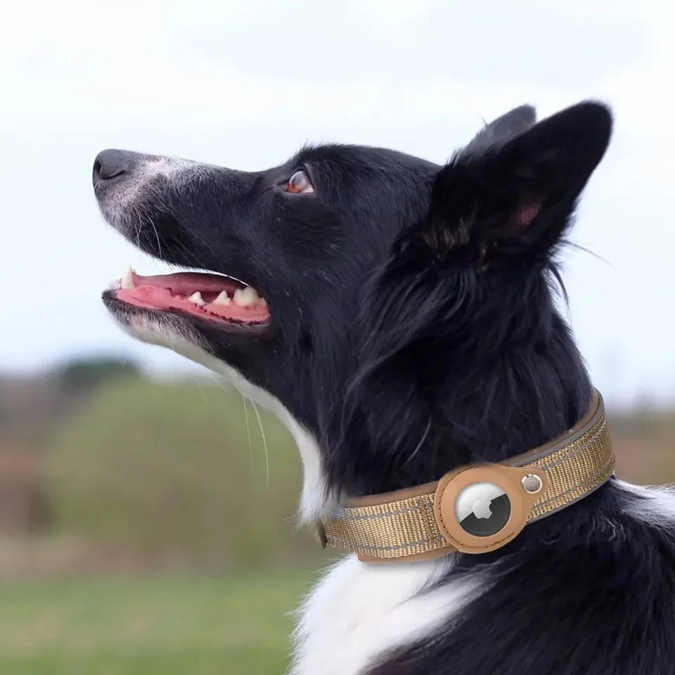 2024 Hot Selling Air Tag Dog Collar Holder Reflective Solid Pattern Padded Nylon Adjustable Buckle Dog Collar for Airtag Case
