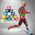 Waterproof Athletic Muscle Sport Synthetic Kinesiology Tape Premium Sports Tape for Injuries and Rehabilitation