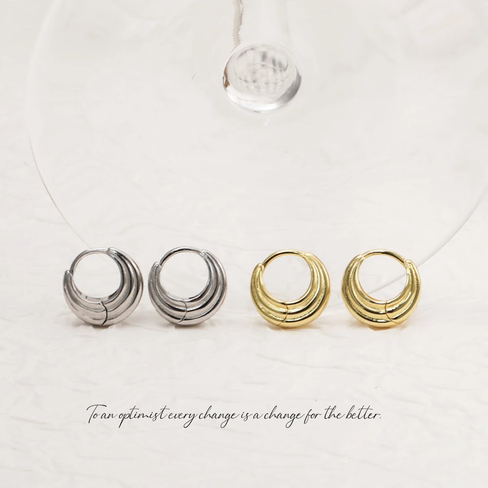 VIANRLA 925 Sterling Silver Jewelry Minimalist Hoop Thick Earrings 18k Gold Plated Earring for Women Free Laser Logo