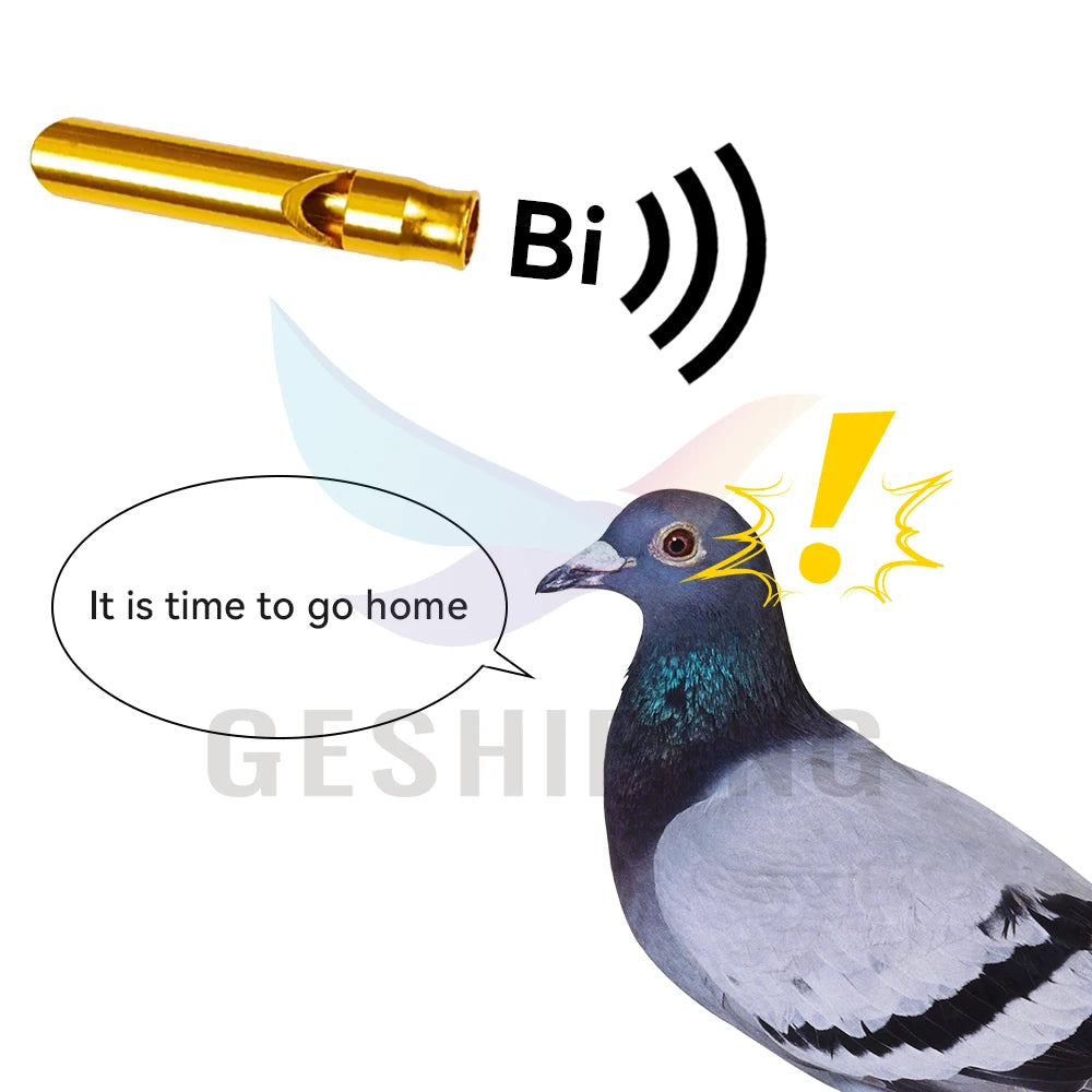 Geshifeng Bird Accessories Cheap Custom Green Red Black Whistle Single Hole Whistles 1.2*6.25cm Pigeon Training Metal Whistle
