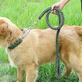 UK USA Hot Selling Multifunction Automatic Pet Leads Walking Rope Training Dog Leads Large Dog Leashes Dog Collar Sets