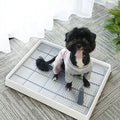 Eco-Friendly Sustainable Dog Training Litter Tray Pet Toilet Pad Floor Protection