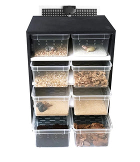 Snake Lizard Spider Terrarium Lizard Spider Gecko Tortoise Hamster Reptiles Cabinet Cages