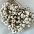 Hot Selling Preserved Excoecaria Sebifera Tallow Berries for Christmas Decoration MegaBDM