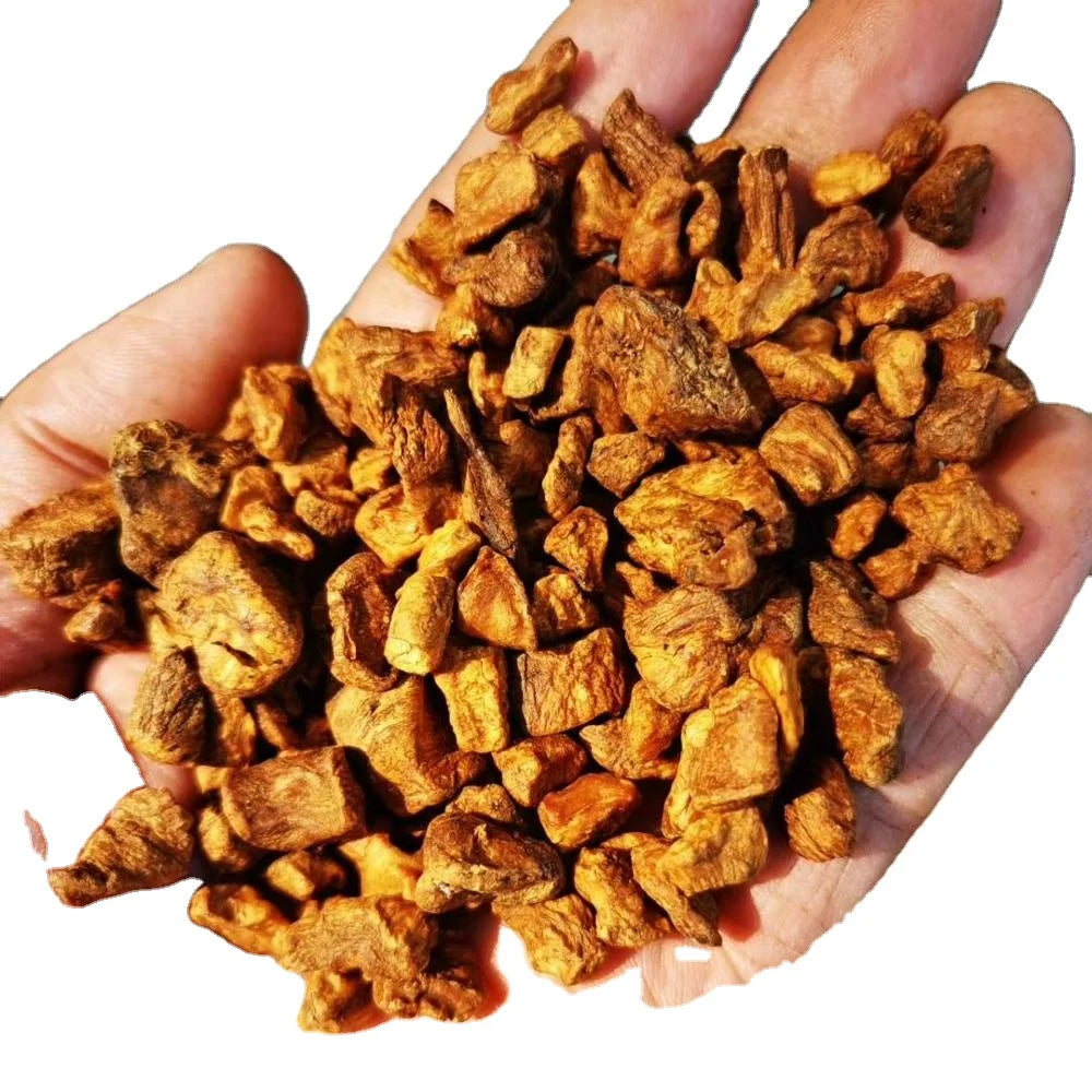 Natural Loose Herb Chicory Rhizome Common Chicory Root Cut for Tea