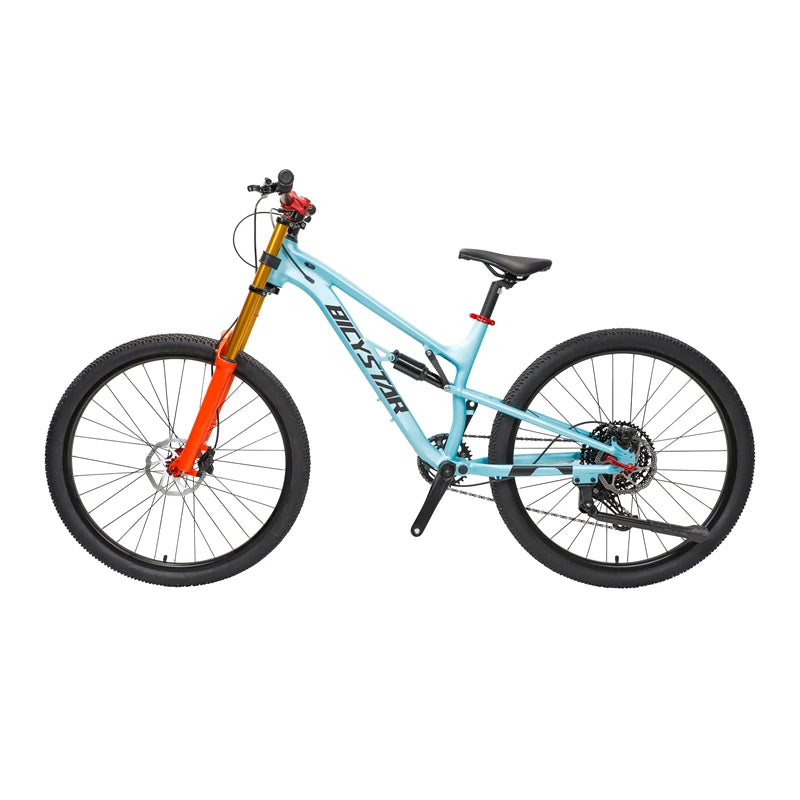 26 Inch Chinese Mountain Bike Frame Full Suspension/mountain Bike Carbon 26" Wheels From China/21 Speed Mountain Bike