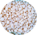Frozen Peeled Garlic 2025 New Crop Bulk Package and Retail Package