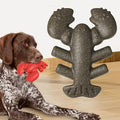 2024 New Nylon Dog Chew Toys Durable Bacon Bone Lobster Toy for Aggressive Chewers Pet Chew Toy