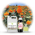 Factory Supply Bulk Packing Organic Cold Pressed Carrier Oils Safflower Seed Oil Best Quality Safflower Seed Oil for Sale