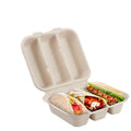 Eco-Friendly Disposable Biodegradable Paper Taco Boxes Sugarcane Bagasse Clamshell Food Takeaway Packaging UV Advantage Stamping