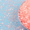 500g/bag Nail Art Decoration PVC Craft Slime Supplies Confetti Clear Cherry Blossom Flower Sequin Glitter Flakes