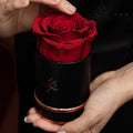 Hot Sales Preserved Rose Gift Box Preservative Flowers Last up to One Year or More