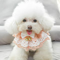 Wholesale Cute Lace Girl Dog Shirt Collar
