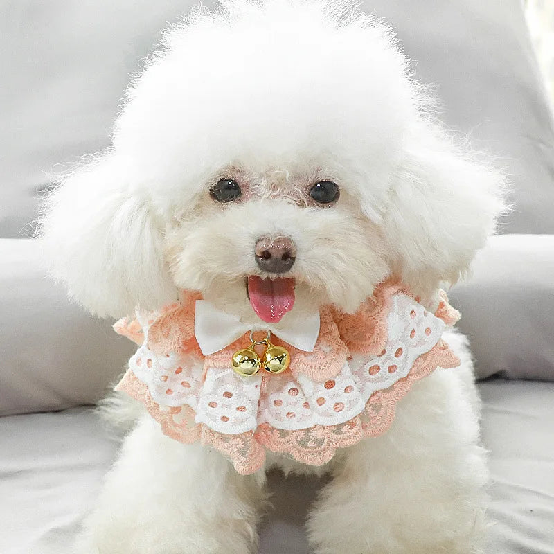 Wholesale Cute Lace Girl Dog Shirt Collar