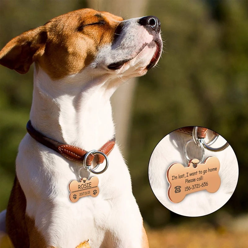 XINTONG Factory Stainless Steel Pet Metal ID Tag Titanium Steel Pendant Carved Logo Anime Anti-Loss Dog Tag Advertising Gift
