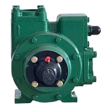 Direct Sales High-Efficiency Fuel Delivery Pump Heads Diesel Fuel Electric Transfer Pump