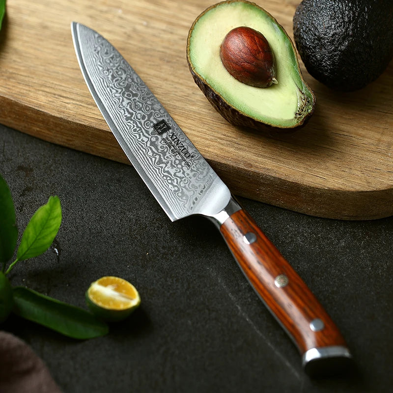 5 Inch Professional Kitchen Cutting Utility Knife High Carbon Damascus Steel Rosewood Handle