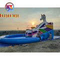 China Factory Children Playing on the Water Slide Amusement Park for Kids Inflatable Water Slides for Sales