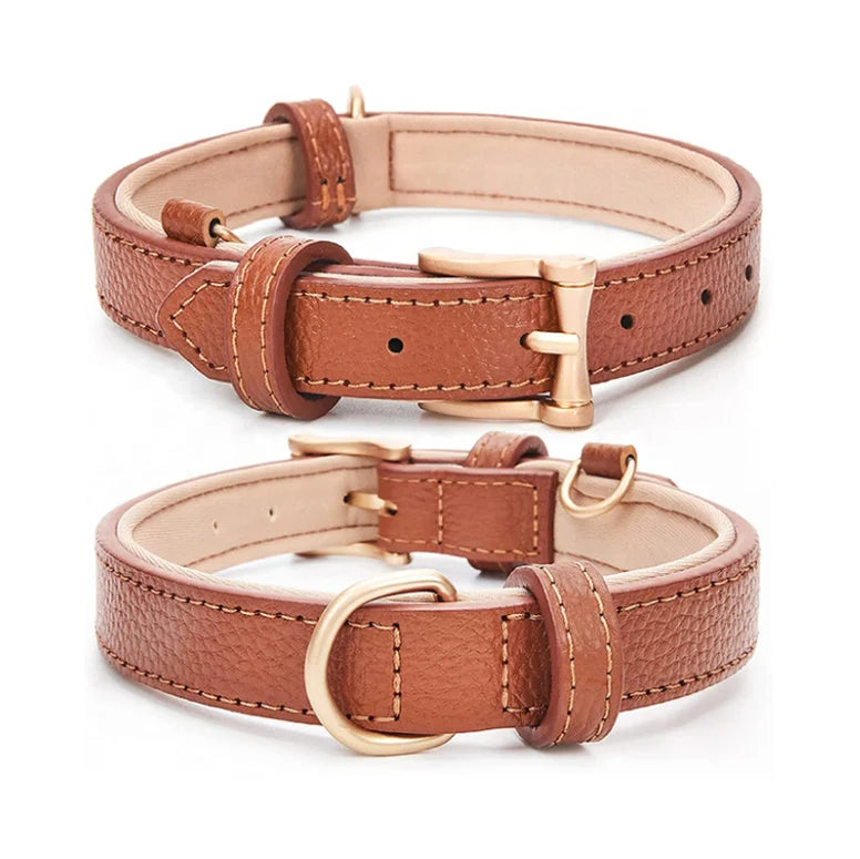 Genuine Leather Dog Collar Breathable Pet Collar With Soft Neoprene Padded Classic Waterproof Collars for Small Medium Dogs