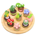 Customised DIY Succulent Plants Starter Kit Wool FBA Offers OEM ODM Service Novelty Gifts From Manufacturing Factory
