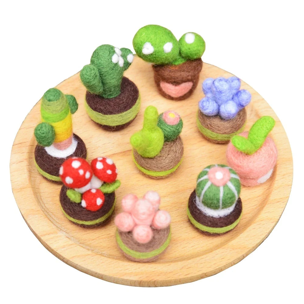 Customised DIY Succulent Plants Starter Kit Wool FBA Offers OEM ODM Service Novelty Gifts From Manufacturing Factory