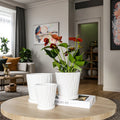 Wholesale Cheap Strip Nodic Style Round White Ceramic Flower Pot for Home Use Discounted Striped Succulent Balcony Gardening Pot