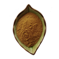 Hot Sale Tuber Onion Seed Extract 10:1 Leek Seed Extract Powder