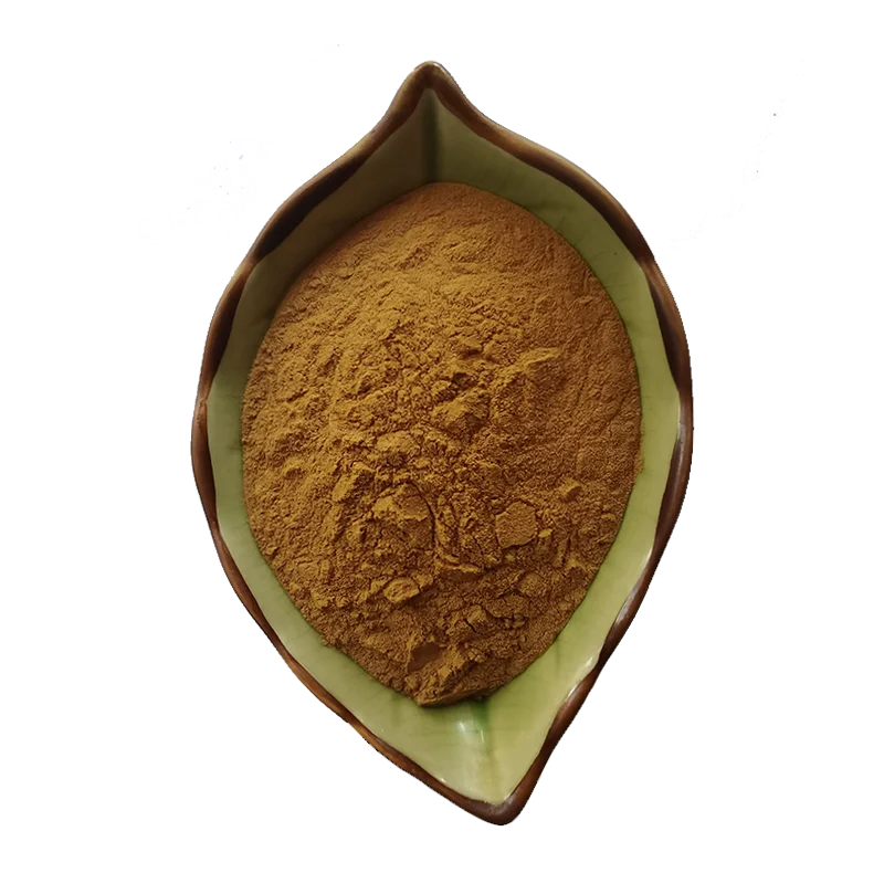 Hot Sale Tuber Onion Seed Extract 10:1 Leek Seed Extract Powder