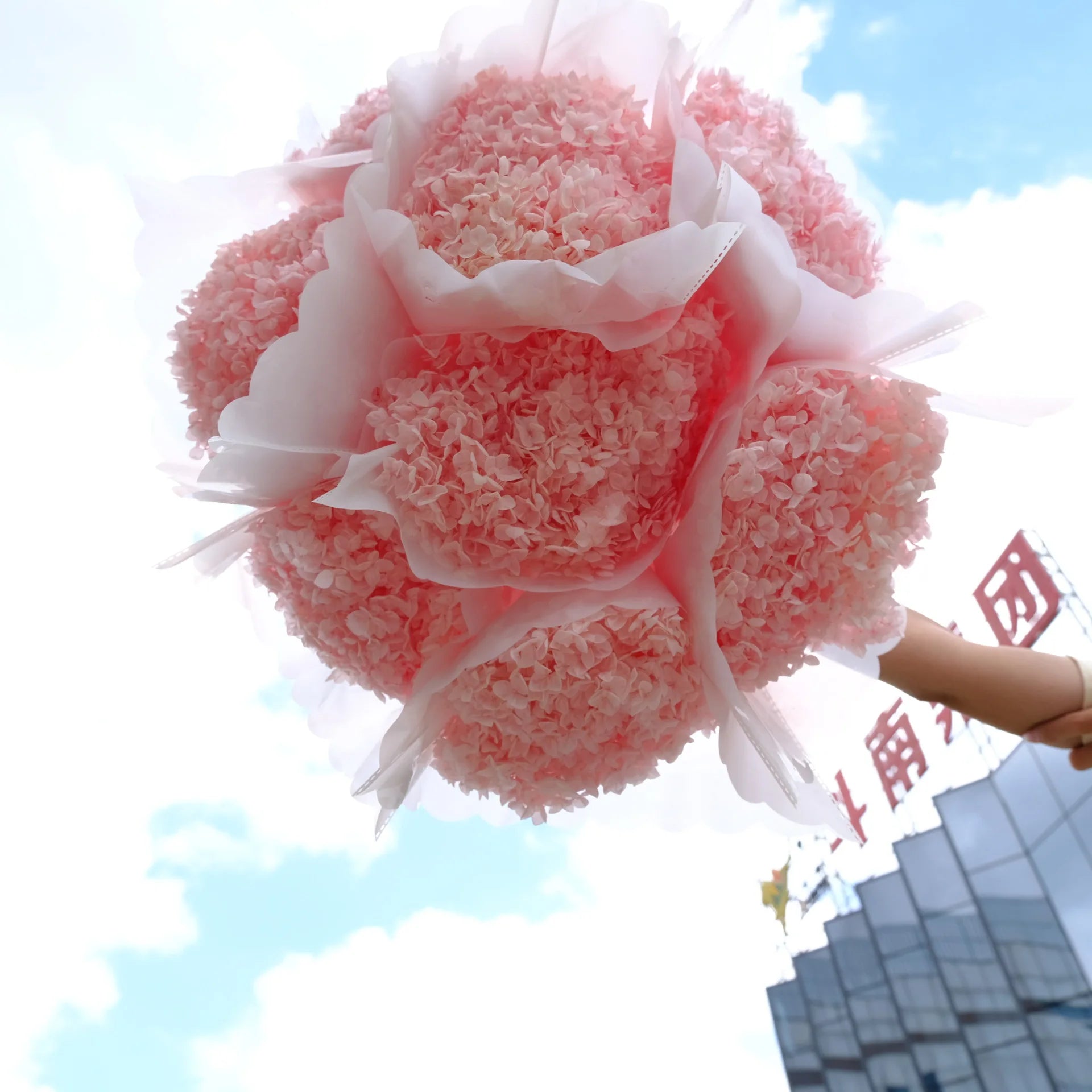 Other Decorative Flowers and Plants 20-25cm Real Touch Preserved Dried Hydrangea with Stem for Wedding Decoration Home Decor