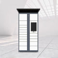 24 Hour Intelligent Self Service Smart Parcel Locker Support ODM/OEM Delivery Cabinet Non-touched Locker Smart Express Cabinet