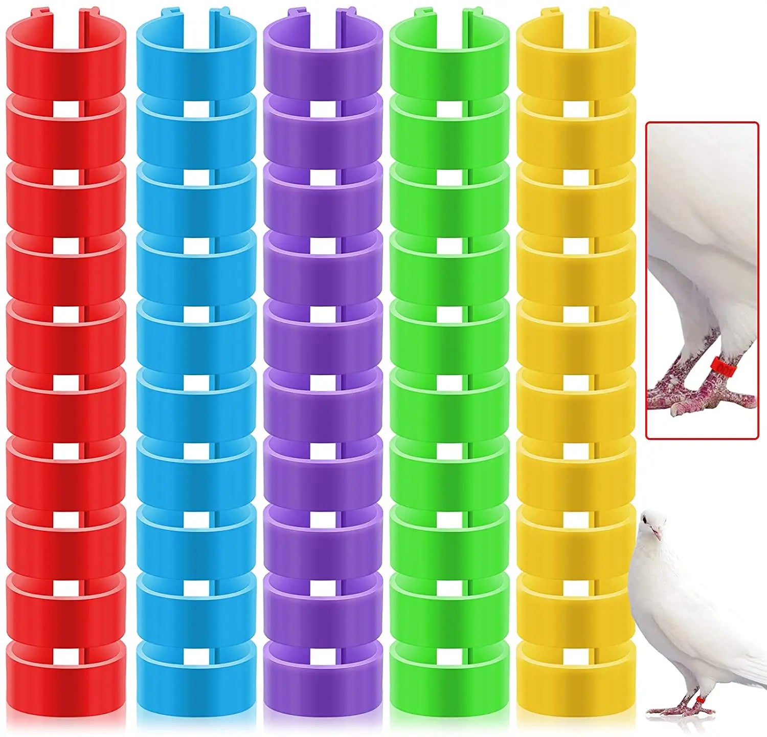 YYB Plastic Open Type Buckle Racing Pigeon Digital Foot Ring Poultry Pigeon Leg Rings Number