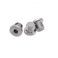DIN908 Stainless Steel SS304 SS316 Hex Socket Plug Screw
