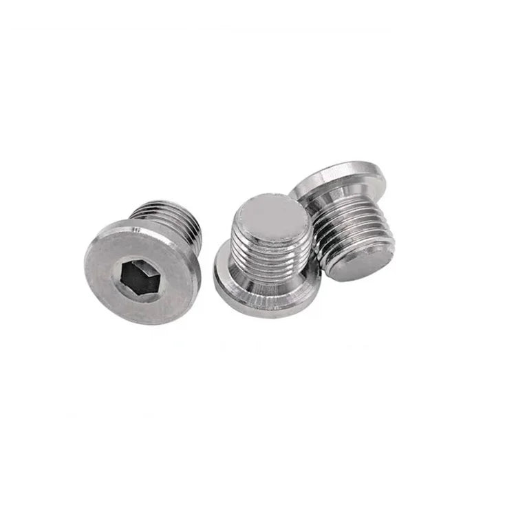 DIN908 Stainless Steel SS304 SS316 Hex Socket Plug Screw