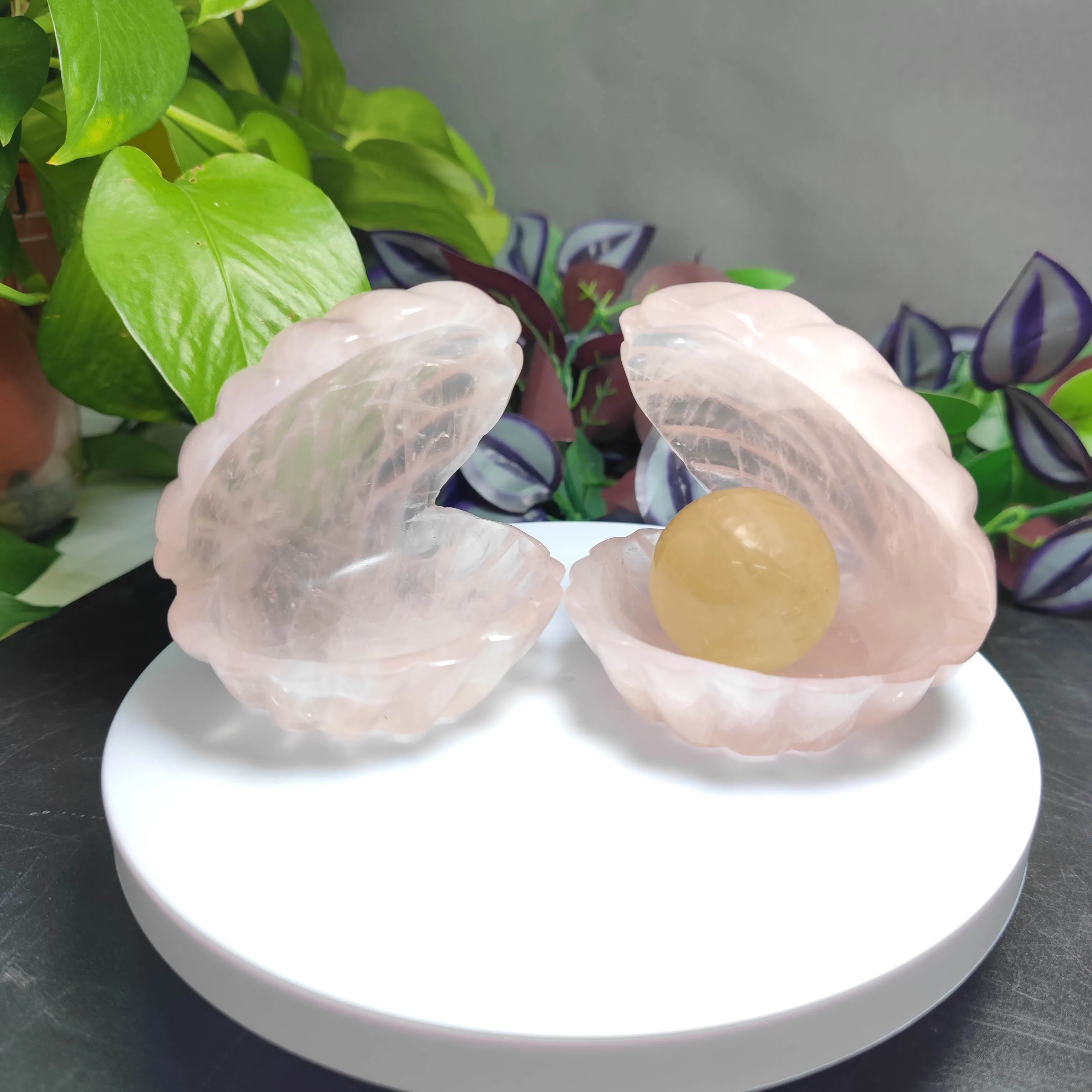 Hot Sale Natural Crystals Hand Made Carving Pink Rose Quartz Clam Shell for Gift
