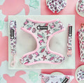 No Pull Dog Harness Custom Logo Adjustable Pet Collars Leashes Harnesses Leash Set OEM Pet Harnesses Manufacturer