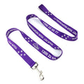 Wholesale Custom Simple Durable Eco-Friendly Polyester Pet Dog Leads Collars Harness Leashes with Metal Hook Buckle Accessory