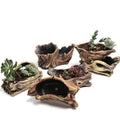 Outdoor Indoor Decorations Cement Flower Pots Bonsai Gardening Stump Log Container Cement Old Tree Roots Carving Planter