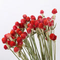 2020 Hot Selling Preserved Globe Amaranth Gomphrena Flowers Valentine's Day Waterproof Indoor/Outdoor High Quality