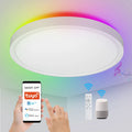 Tuya Alexa Google Assistance Modern Led Smart Light 24W RGB Colorful LED Ceiling Light