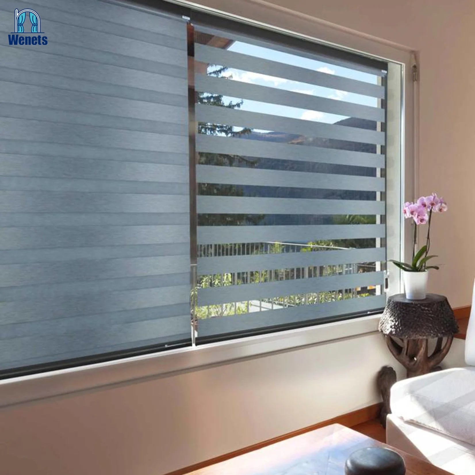 Electric Zebra Blind Indoor Roller Shade Manual Blackout Feature for French Windows in Office or Home Technique Plain