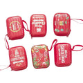 Star Packaging Jewelry Accessories Organizer Tin Case Small Zipper Metal Christmas Organizer Tin Box