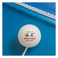 China Ittf Approved Personalized Custom Printed Star Entertainment 40+ Table Tennis Spin Tranner Ball Wholesale