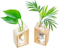 Modern Double Test Tube Vase Crystal Glass Wooden Stand Ball-shaped Flower Pots Hydroponic Plants Decoration Wedding Terrariums