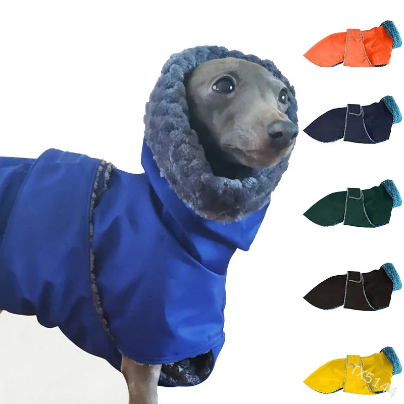 S~5XL New Arrival Pet Clothing Dog Clothes Warm and Fashionable Dog Cotton Coat for Medium to Large Dogs