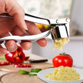 Manual Vegetable Chopper Kitchen Tools Manuel Garlic Press Peeler Garlic Crusher  Food Garlic Press