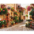 Beginner Adults DIY Gift Canvas Painting Kits 40x50cm/16x20inch Acrylic Paints Handwork Drawings Europe Style Landscape Printed