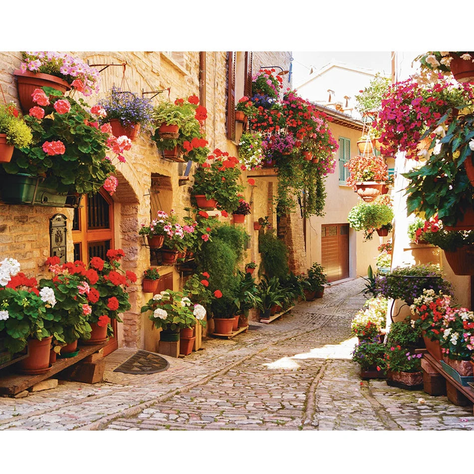 Beginner Adults DIY Gift Canvas Painting Kits 40x50cm/16x20inch Acrylic Paints Handwork Drawings Europe Style Landscape Printed