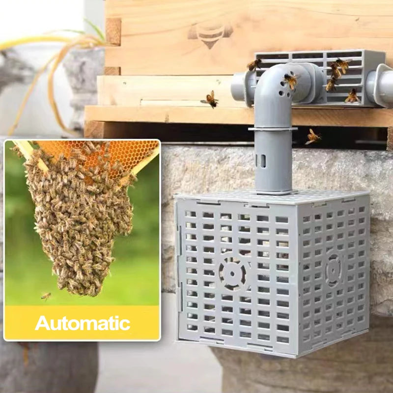 Automatic Dividing Beehive Beekeeping Tool Anti-escape Isolation Bee Tool Queen Rearing Cage