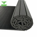 Wholesale XPE Foam and EVA Material Tatami Mat Martial Art Karate BJJ Taekwondo Roll Out Mat Judo Mat Martial Arts Tatami