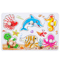 Educational Wooden Jigsaw Puzzle Set for Kids-DIY Educational Toy with Finger Grasping Pegs